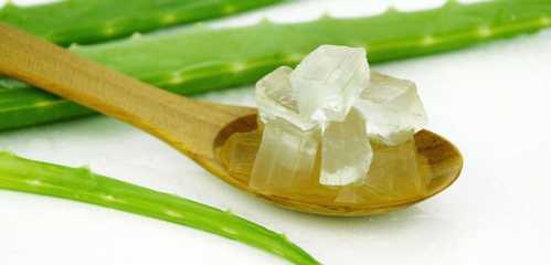 gel de aloe vera para hongos