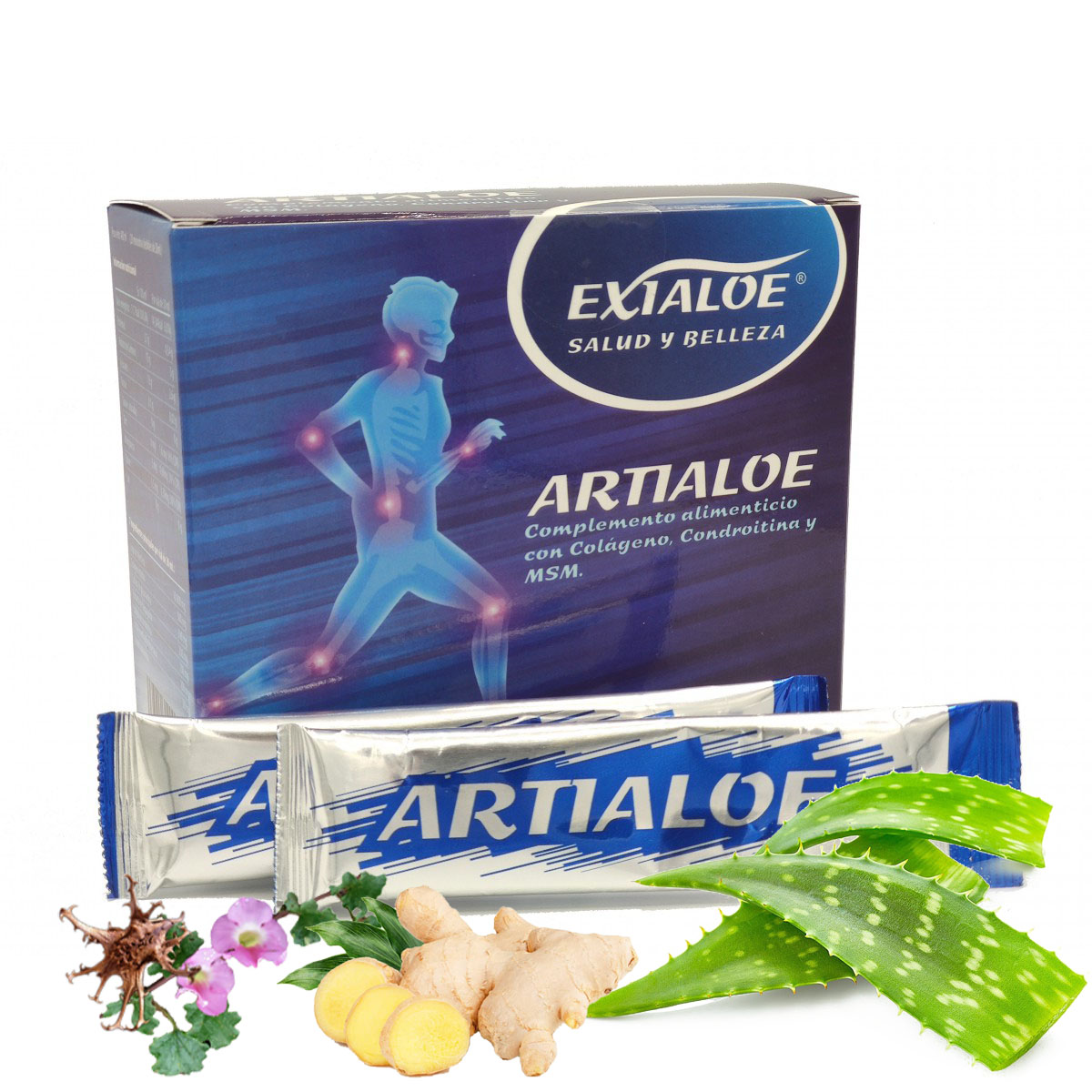 artialoe exialoe